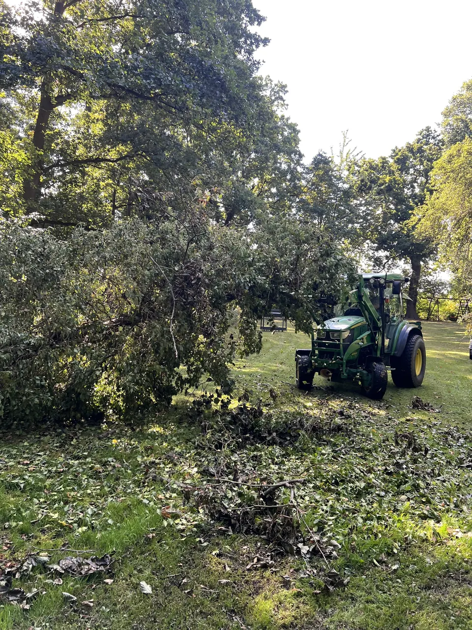 John-Deere-Traktor mit Frontlader beim Bewegen von Gehölzschnitt auf einer Grünfläche.