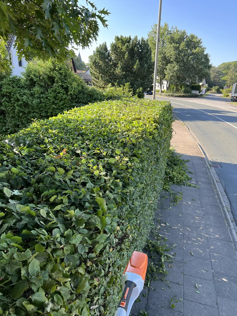 Gleichmäßig geschnittene grüne Hecke entlang eines Gehwegs.