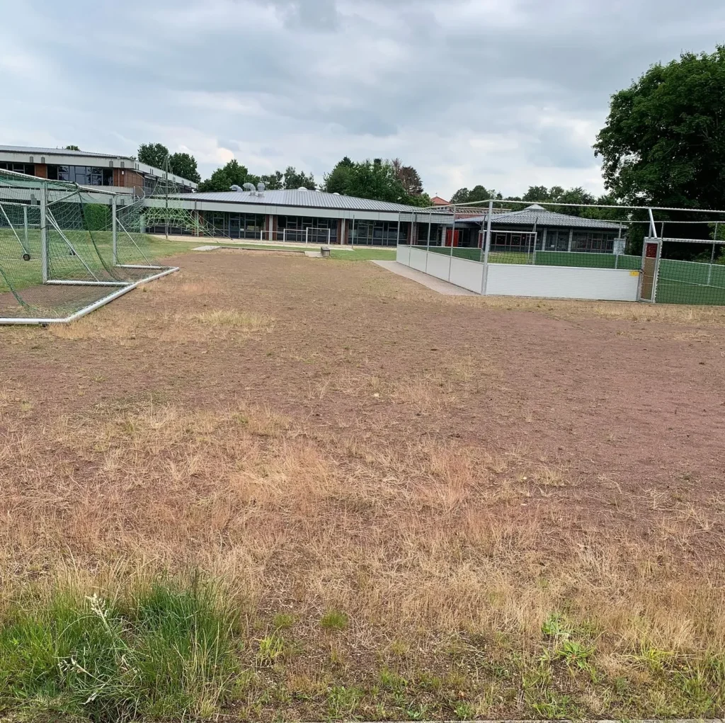 Bewuchs auf der Tennenfläche; links stehen Tore, rechts liegt das eingefasste Kleinspielfeld.